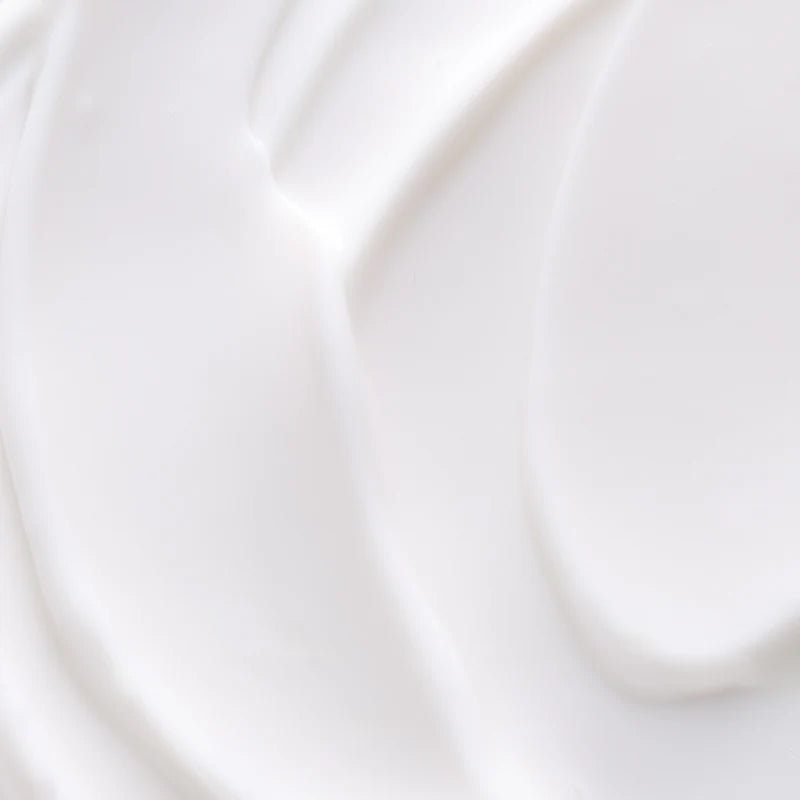Hydramemory Rich Sorbet Cream